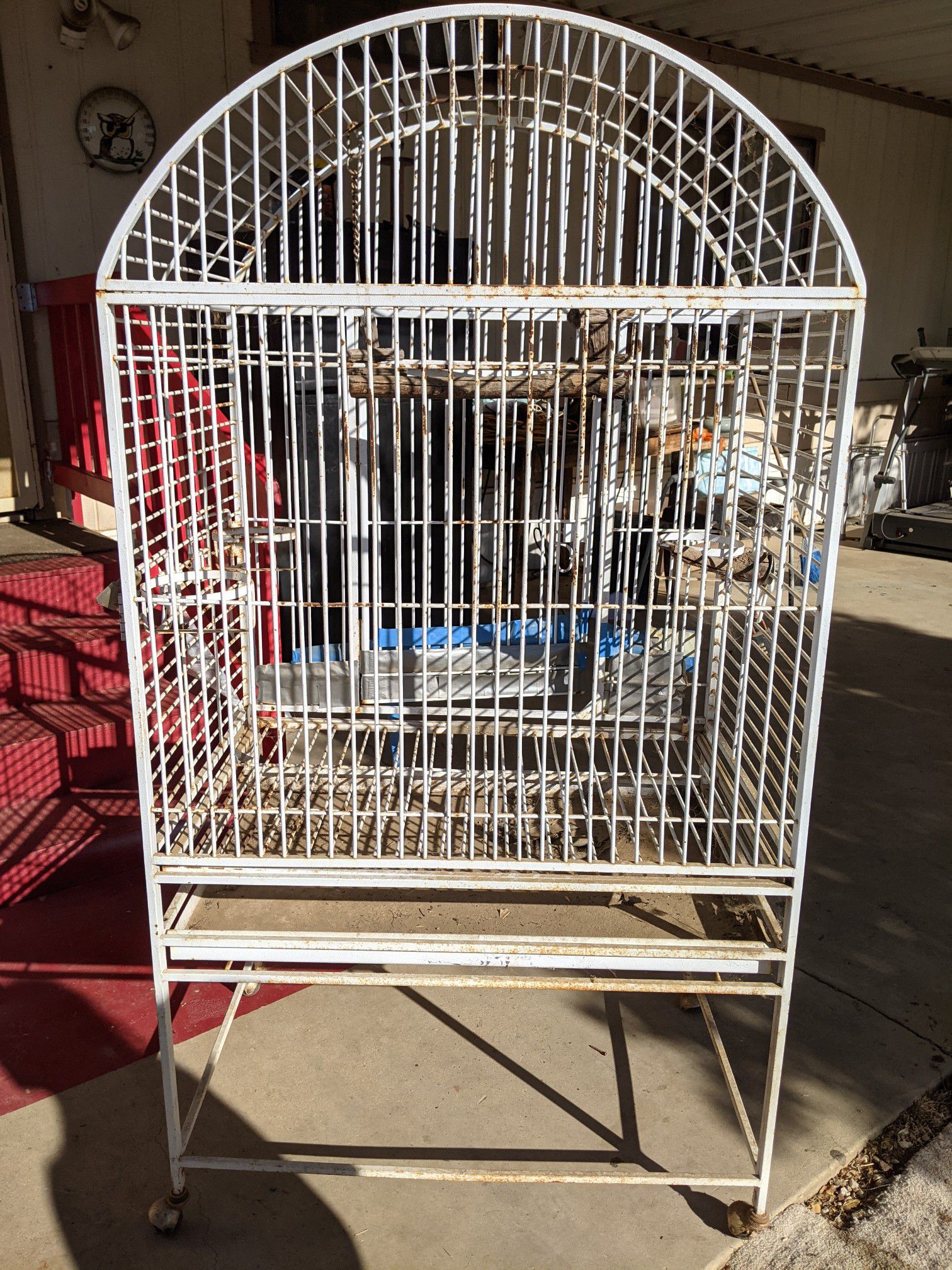 Free Bird cage