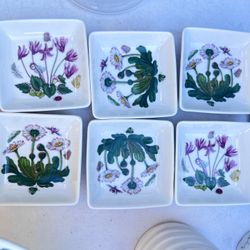 portmeirion botanic garden Dipping Sauce Plates