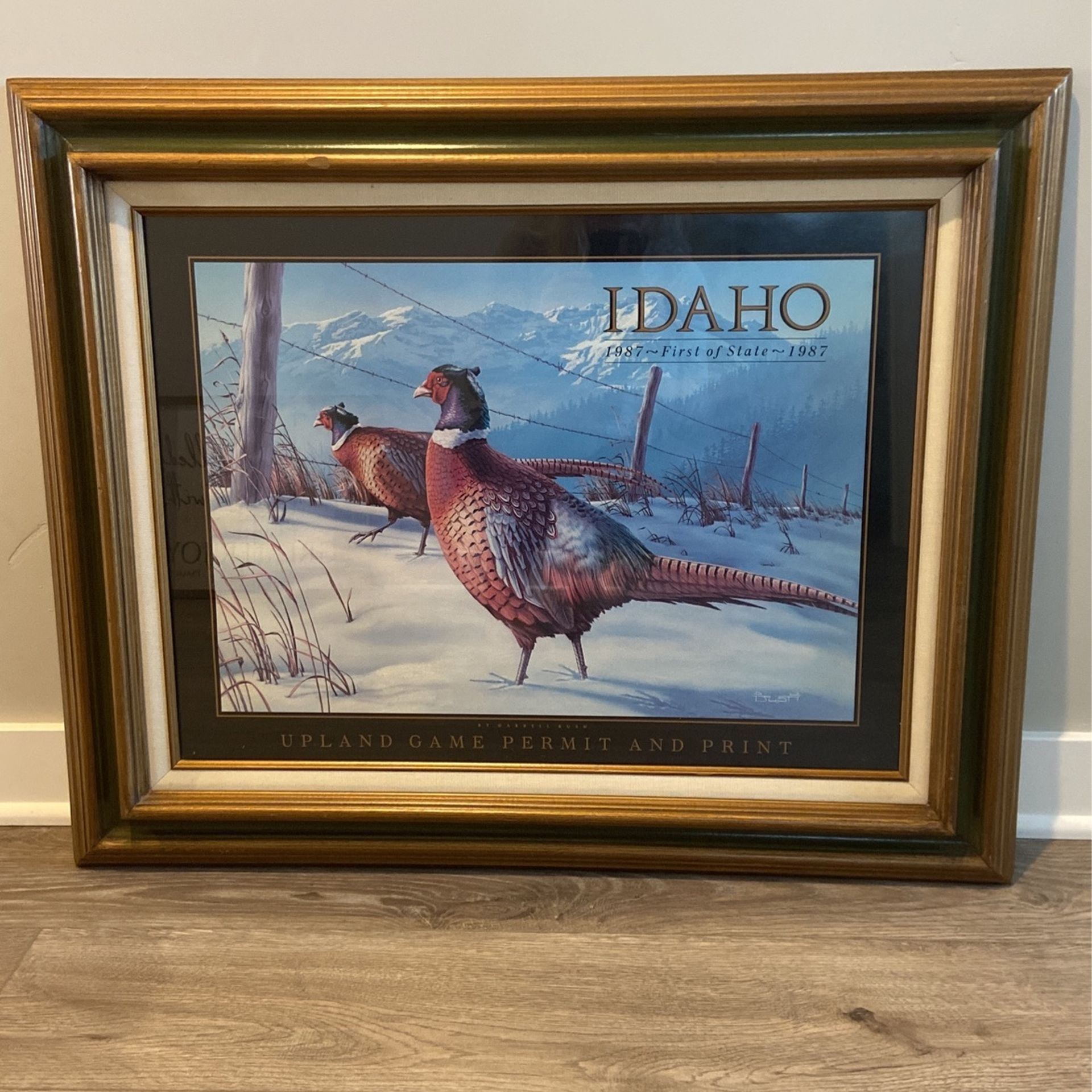 Idaho Pheasant Picture