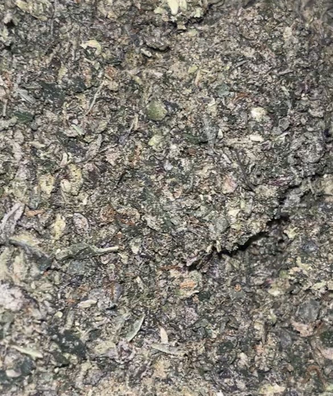 Plant Matter