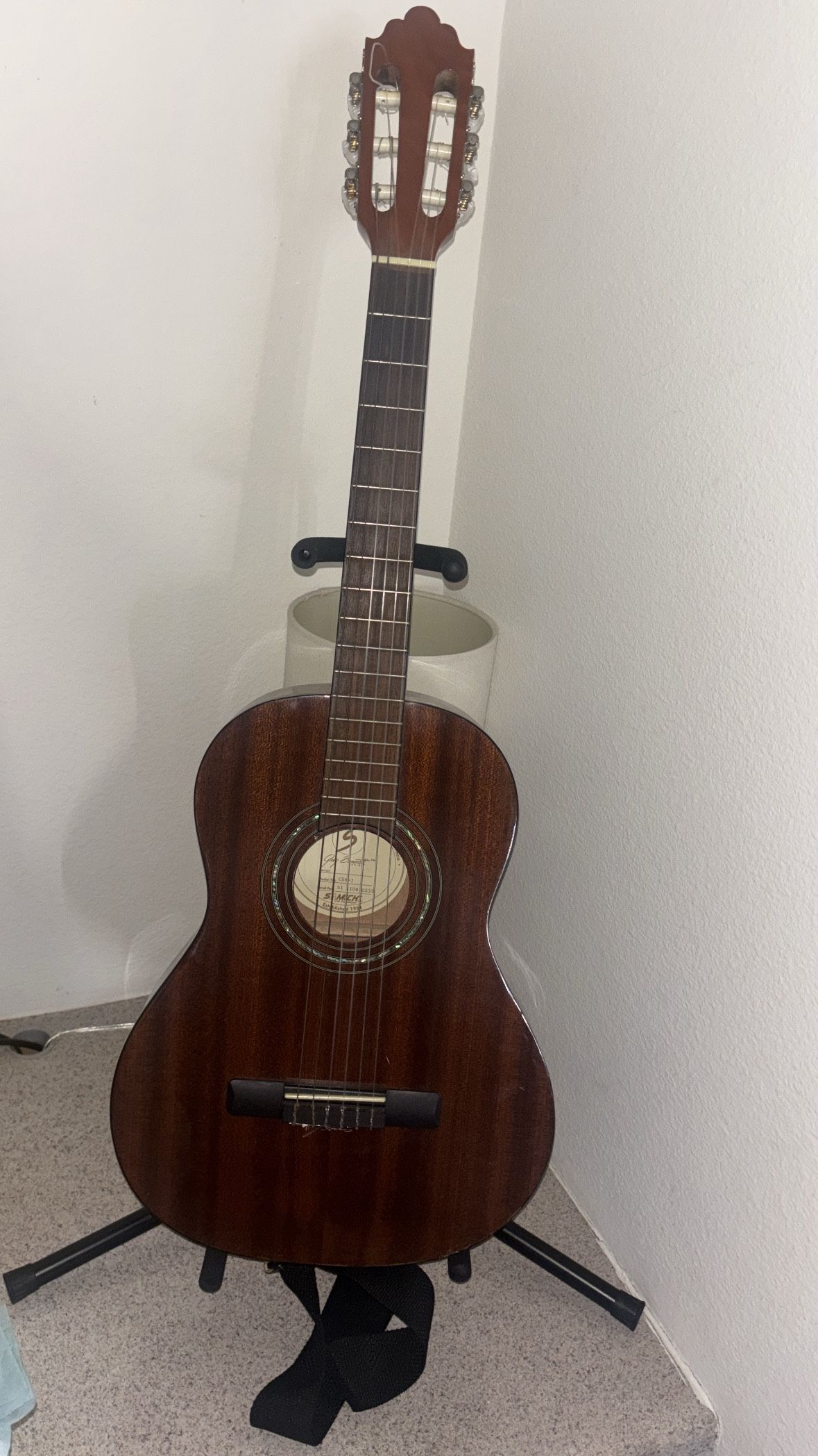 Acoustic guitar