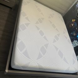 Queen Mattress From El Dorado