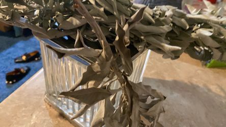 2. Sage. Bundles