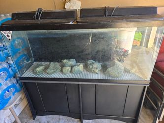 Large Glass Aquarium Tank with Stand and Hood