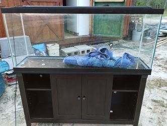 Fish Aquarium With Stand, All Accessories, & Canister Pump