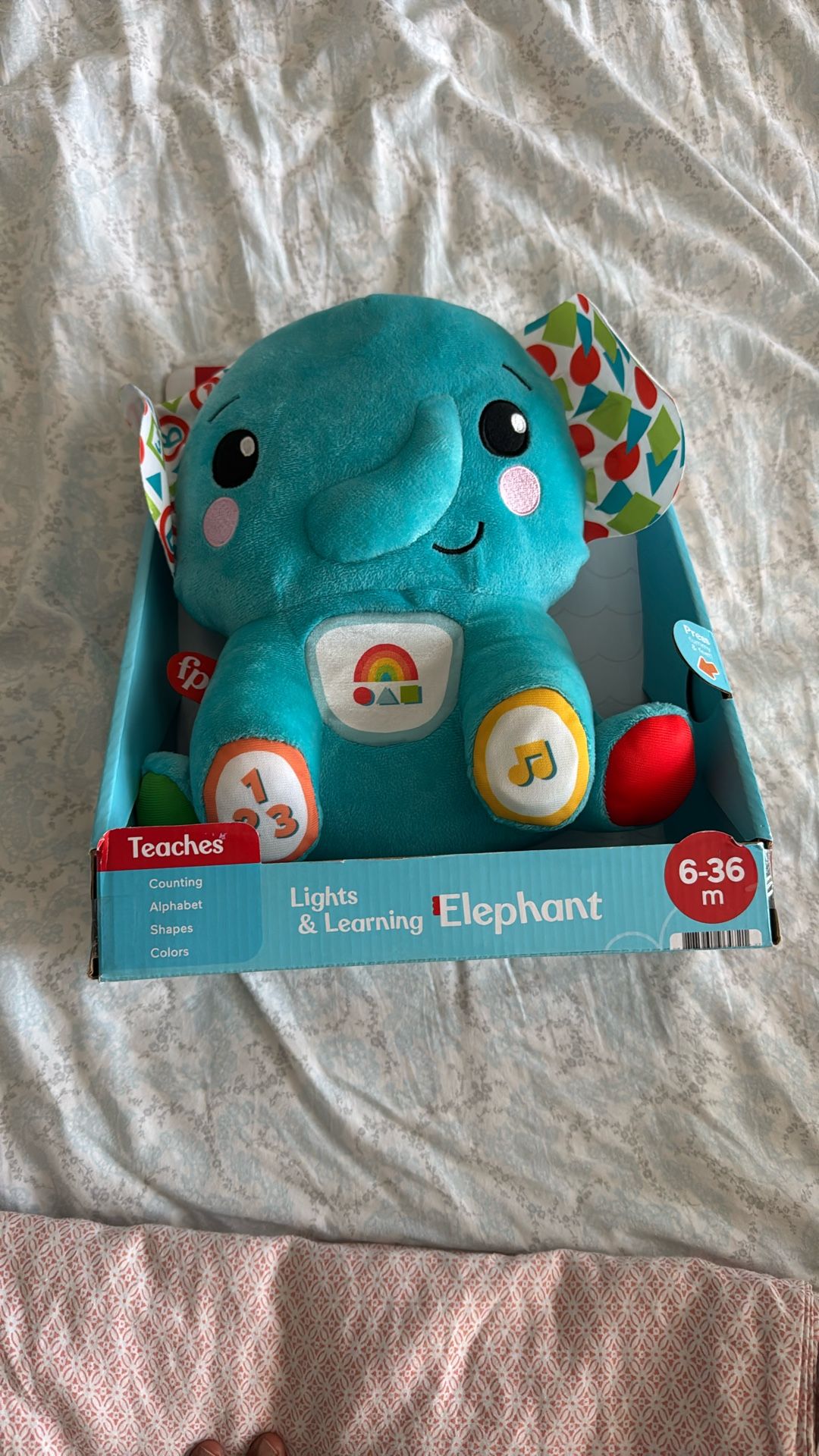 Lights And Learning Elephant