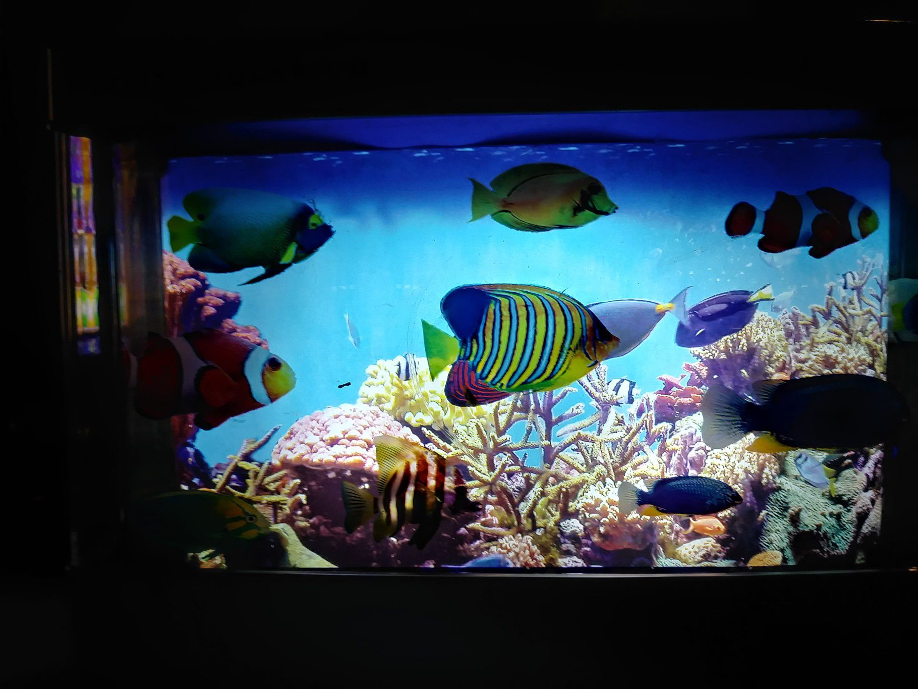 Electronic Fish Aquarium Decor