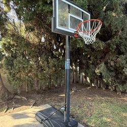 Lifetime Portable Basketball Hoop