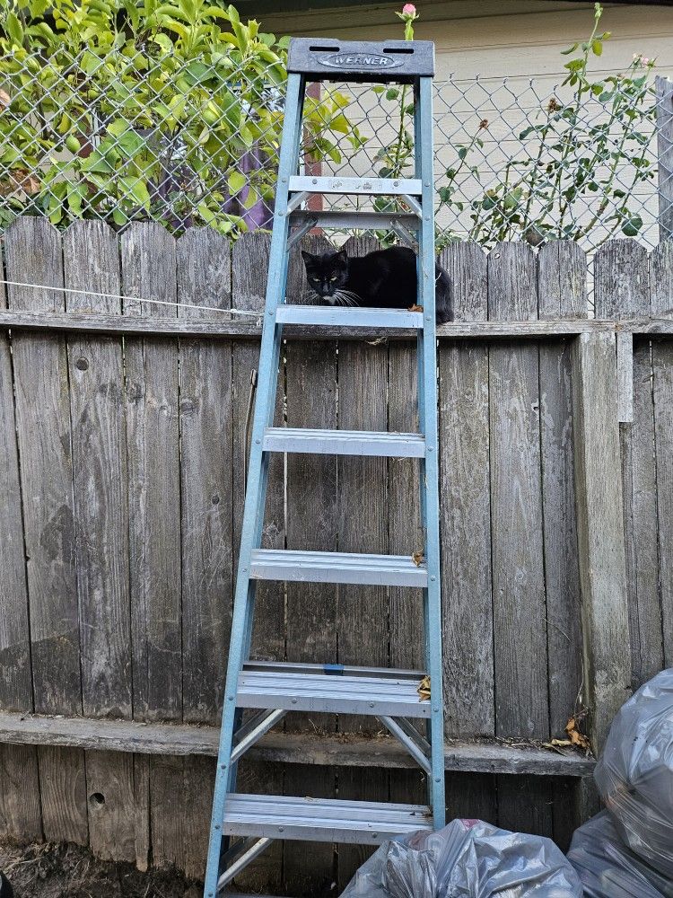 Werner 8ft Ladder Used