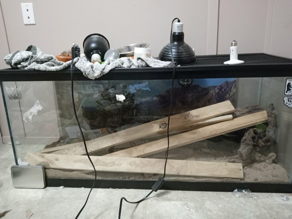 75 Gallon Tank With Extras