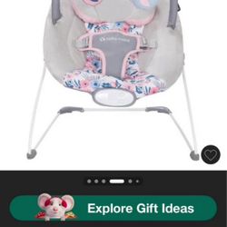 Baby Bouncer