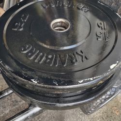 4 x 15lb Olympic Bumper Plates 
