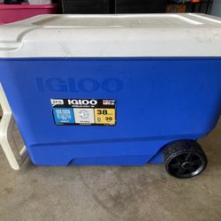 Igloo Wheelie Cool 38 Quart Cooler