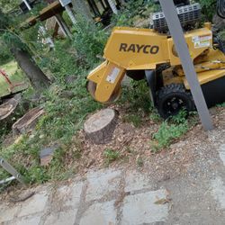 Muelo Troncos Corto Arboles 