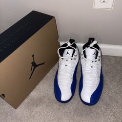 Air Jordan 12 Blueberry Sz13