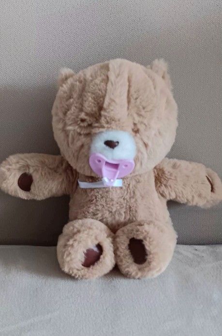 Interactive Little Live Teddy Bear with Pacifier