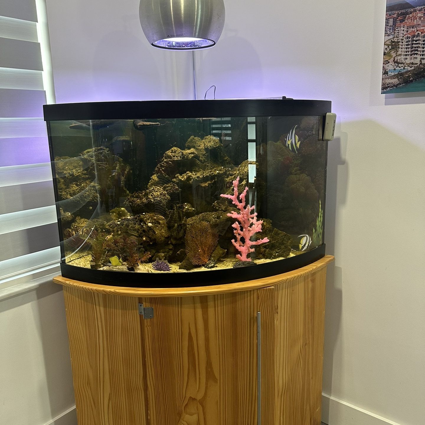 FISH TANK 