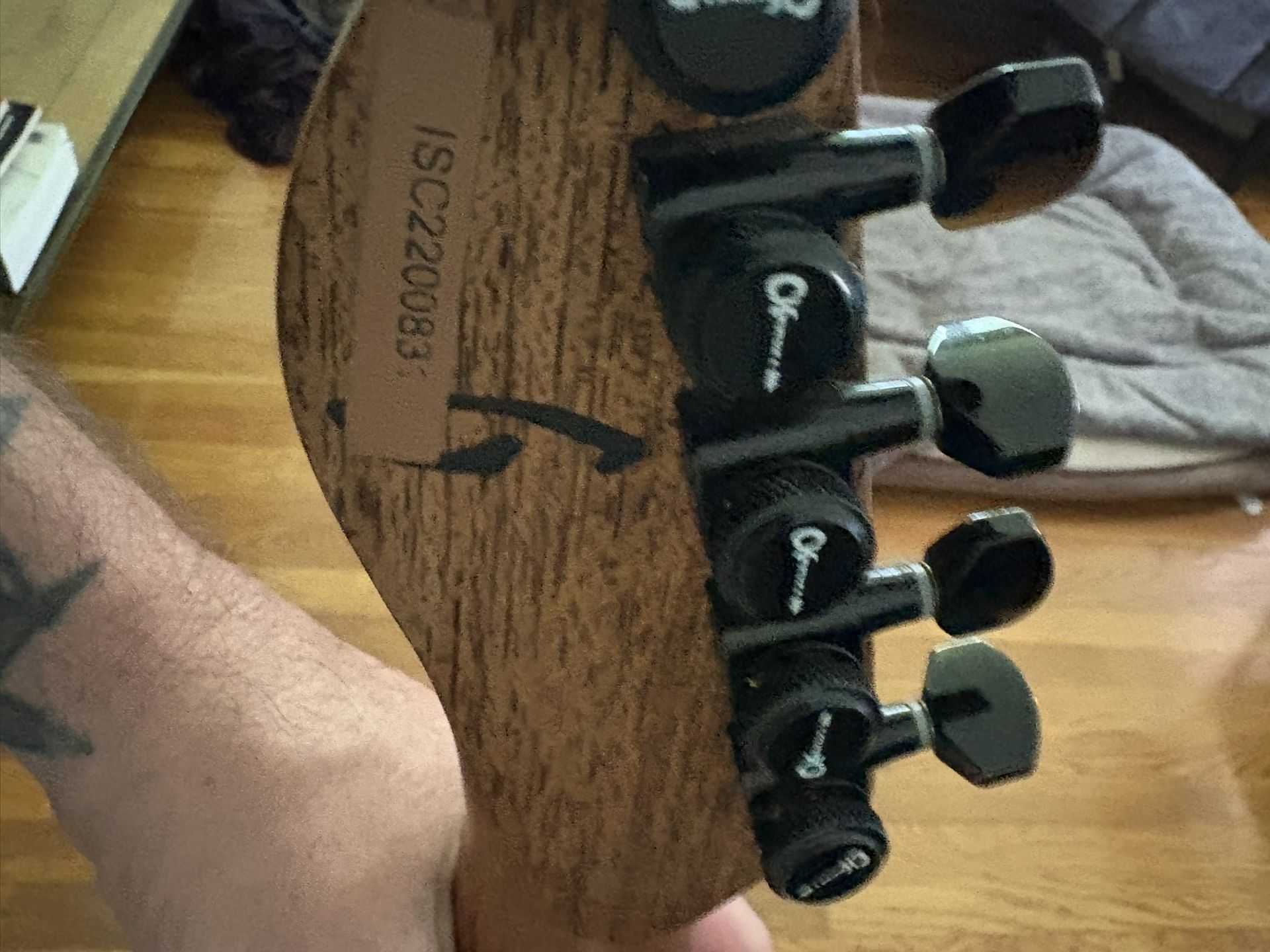 Guitar And Pickups