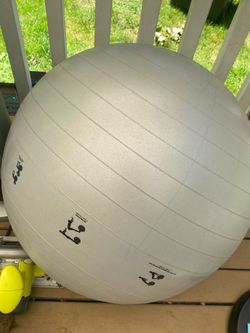 Exercise ball RBX