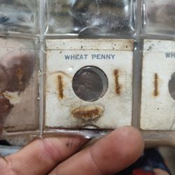 Wheat Penny From 1937