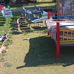 Beautiful Chairs Stackable $5 Each Obo