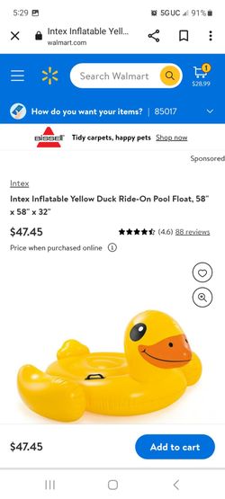 Pool duck float and gun 🔫