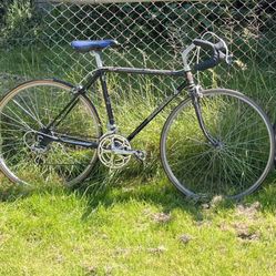 Vintage Shogun Road Bike