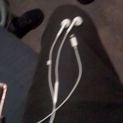 iPhone Earbuds 