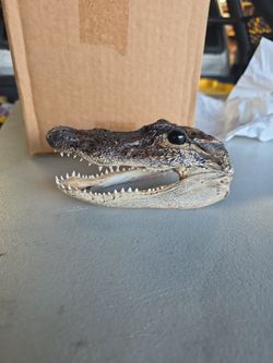 Aligator Head 6 Inch