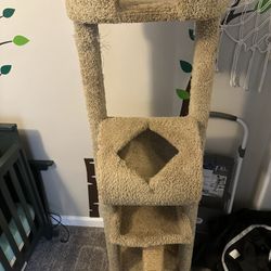 Cat Tree