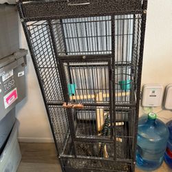 Medium-size Bird Cage
