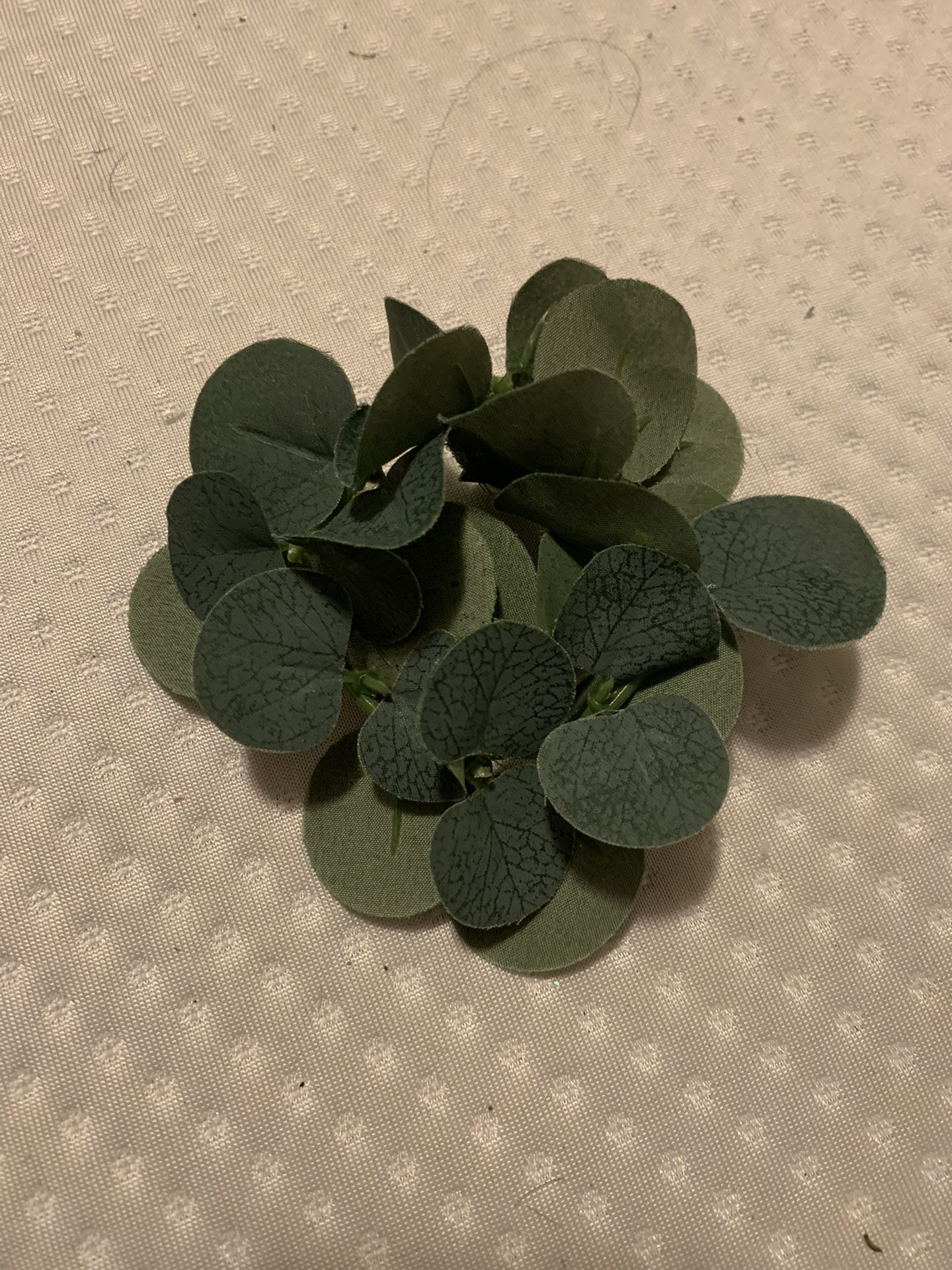 Eucalyptus Napkin Rings