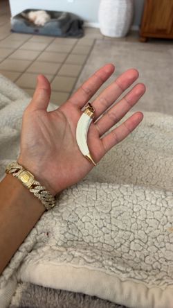Comillo de oro/ gold tooth