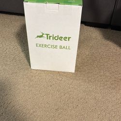 Trident Exercise Ball