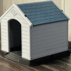 house dog 