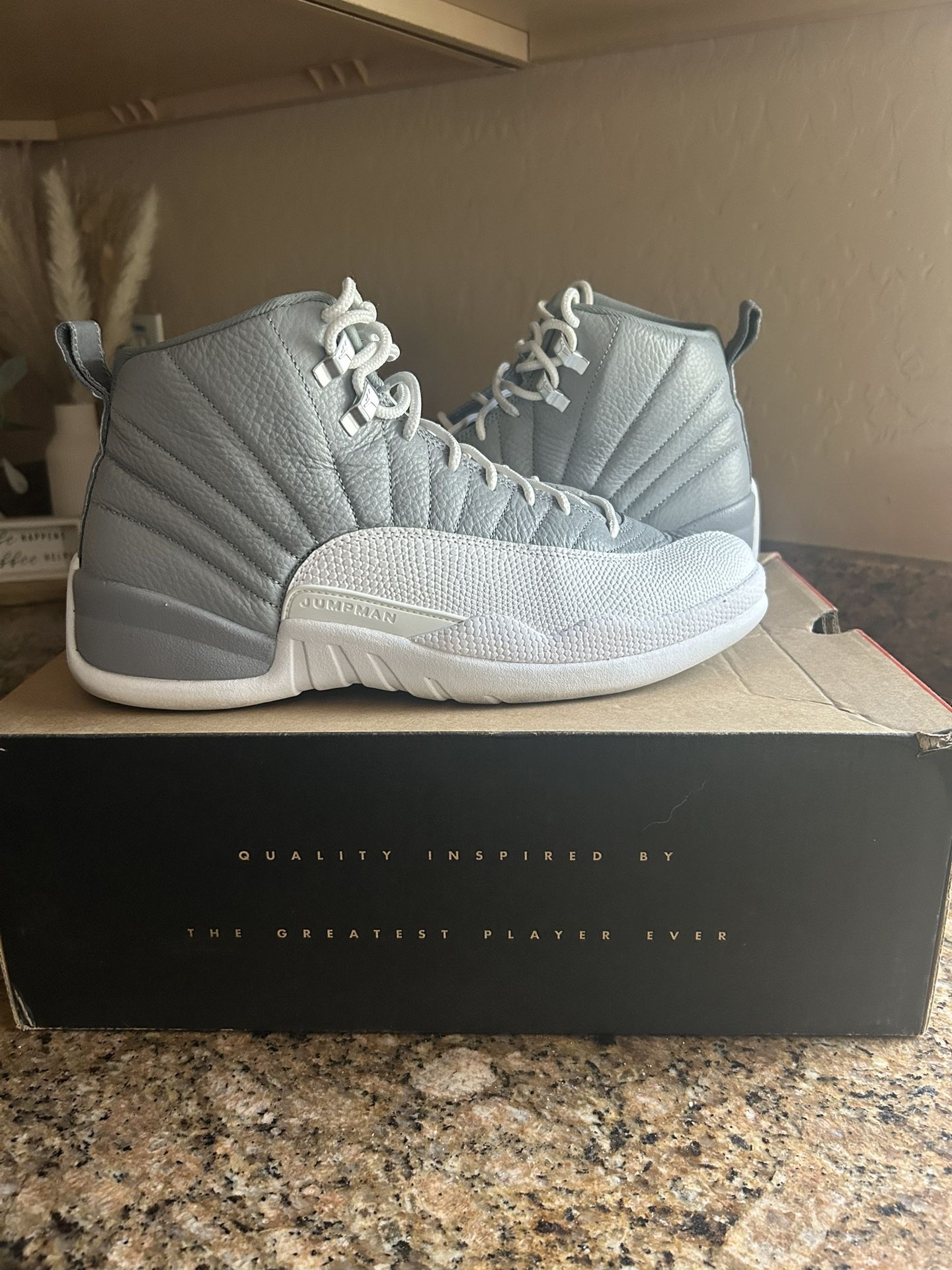 Jordan 12 Retro Stealth