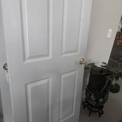 DOORS   32x96 Excellent Condition 