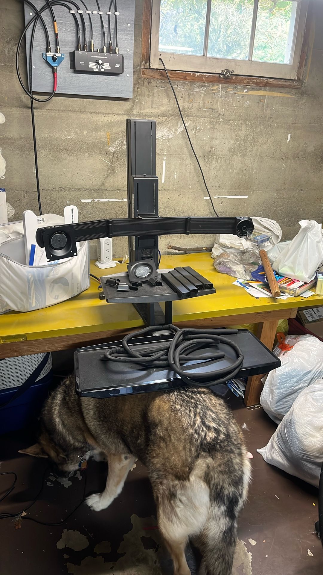 North Bayou: Sit and Stand Desk