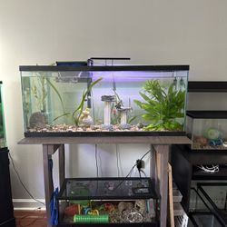 55 Gallon Fish Tank