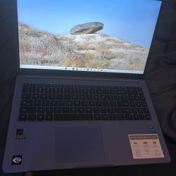 17” Chromebook laptop 