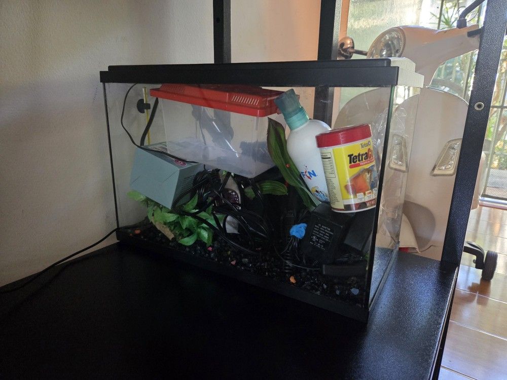 5 Gallon Fish Tank