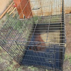 Cage For Dog