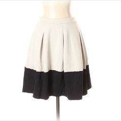 Express Skirt