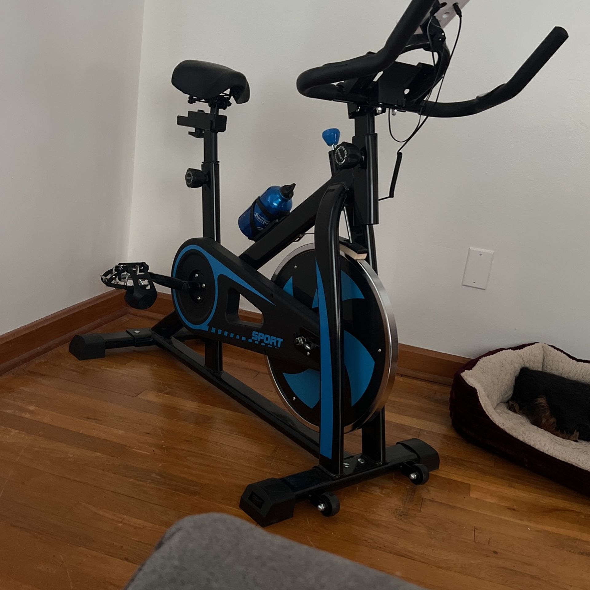 Exercise Bike
