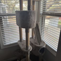 Cat Tower 