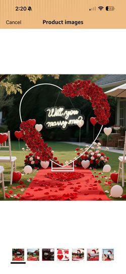 Wedding Proposal Kit