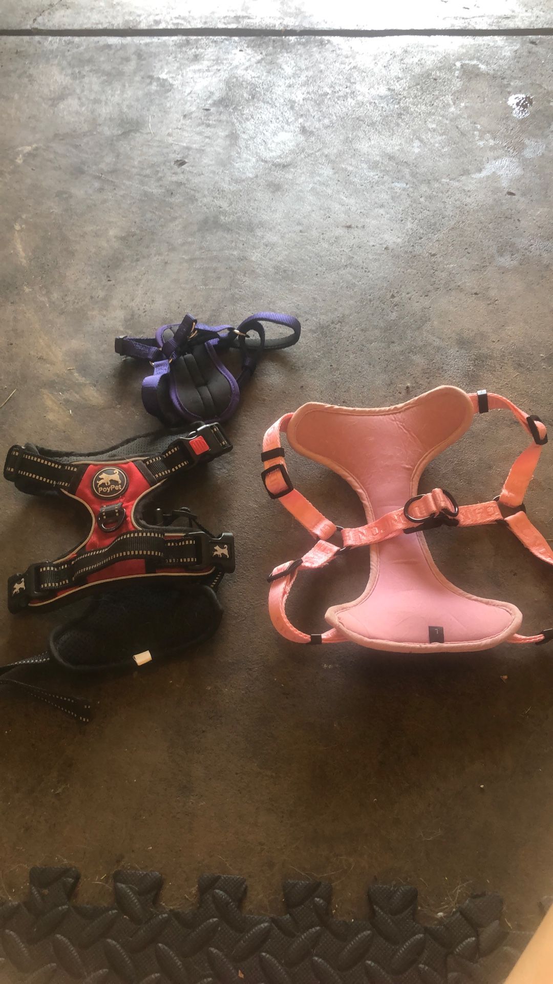 Dog Wear Kit