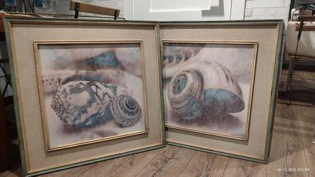 Seashell Paintings