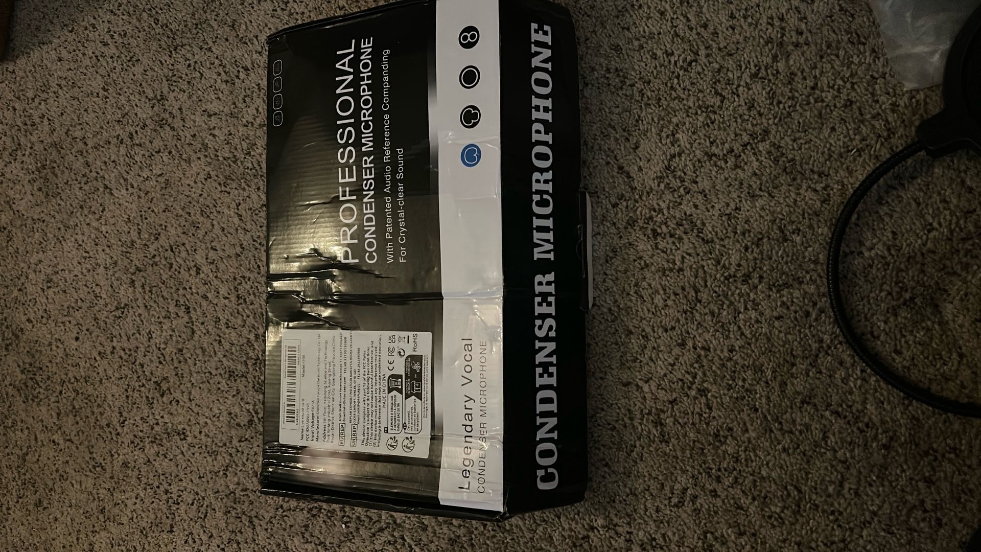 Condenser Mic Full Set Up