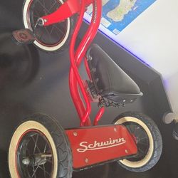 Schwinn Custom Buil Tricycle 
